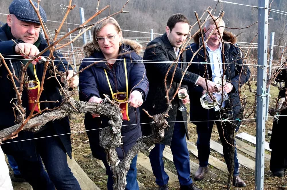 Vinarija Kutjevo d.d. obilježila Vincelovo na položaju Vinkomir
