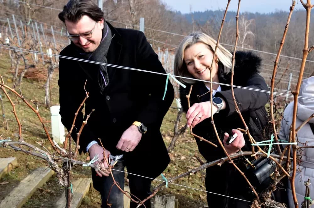 Vinarija Kutjevo d.d. obilježila Vincelovo na položaju Vinkomir