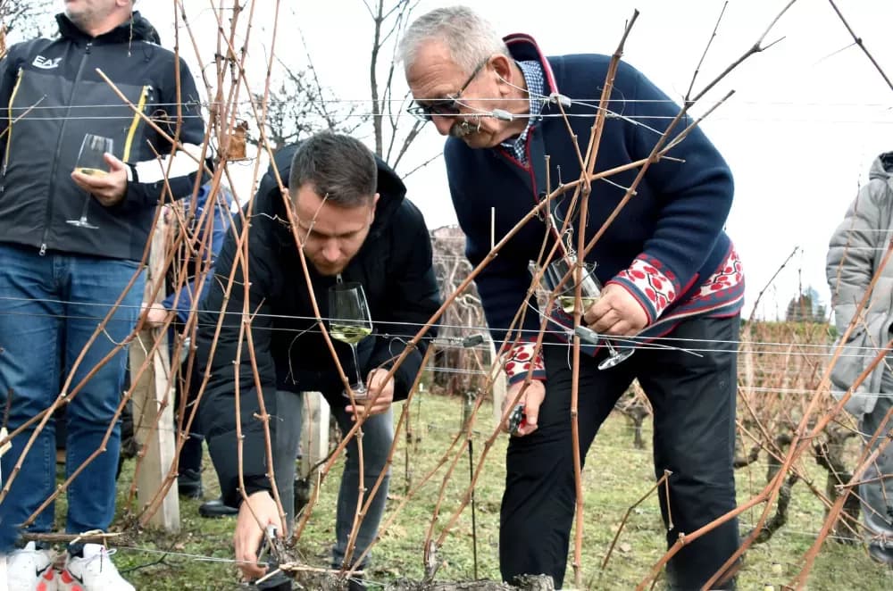 Obitelj Krauthaker okupila stotine uzvanika na početku vinogradarske godine