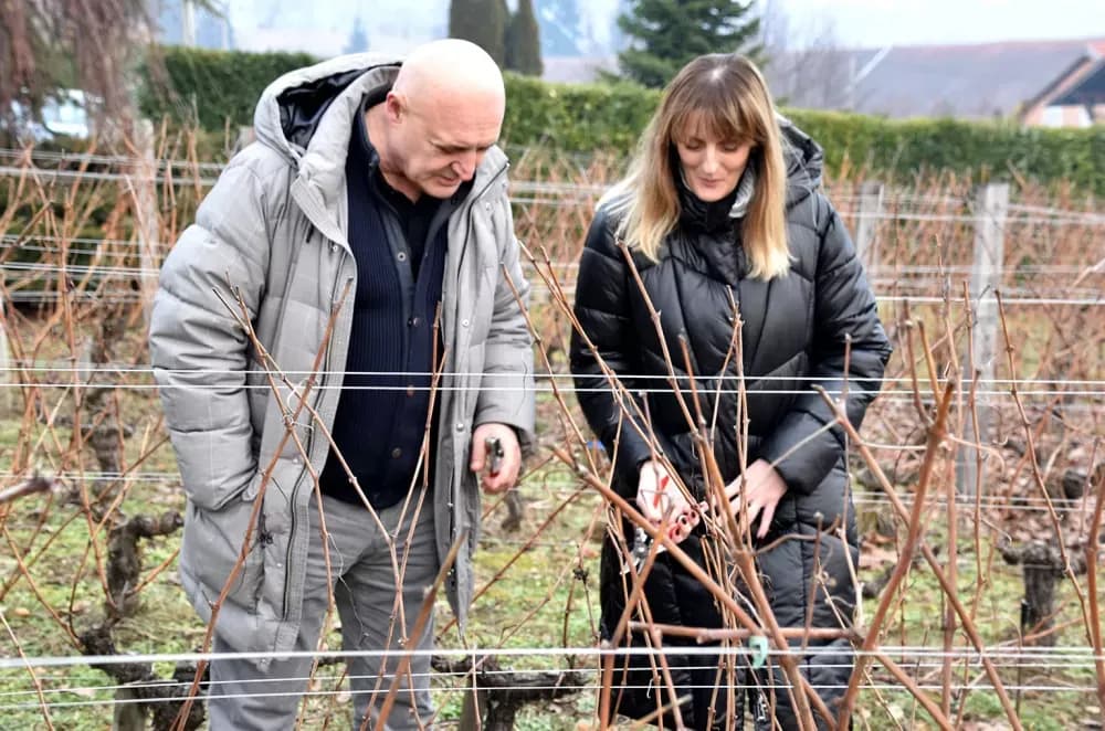 Obitelj Krauthaker okupila stotine uzvanika na početku vinogradarske godine