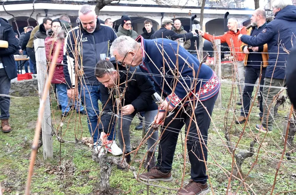 Obitelj Krauthaker okupila stotine uzvanika na početku vinogradarske godine