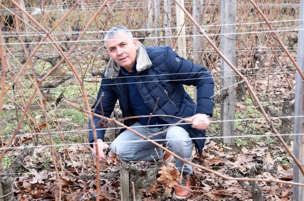 Obitelj Krauthaker okupila stotine uzvanika na početku vinogradarske godine