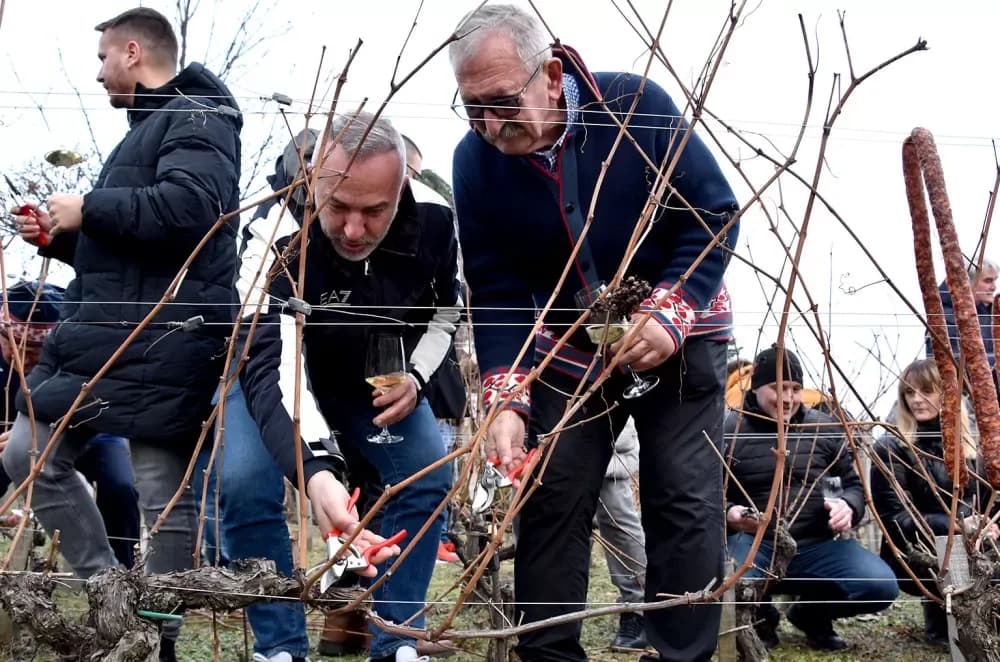 Obitelj Krauthaker okupila stotine uzvanika na početku vinogradarske godine