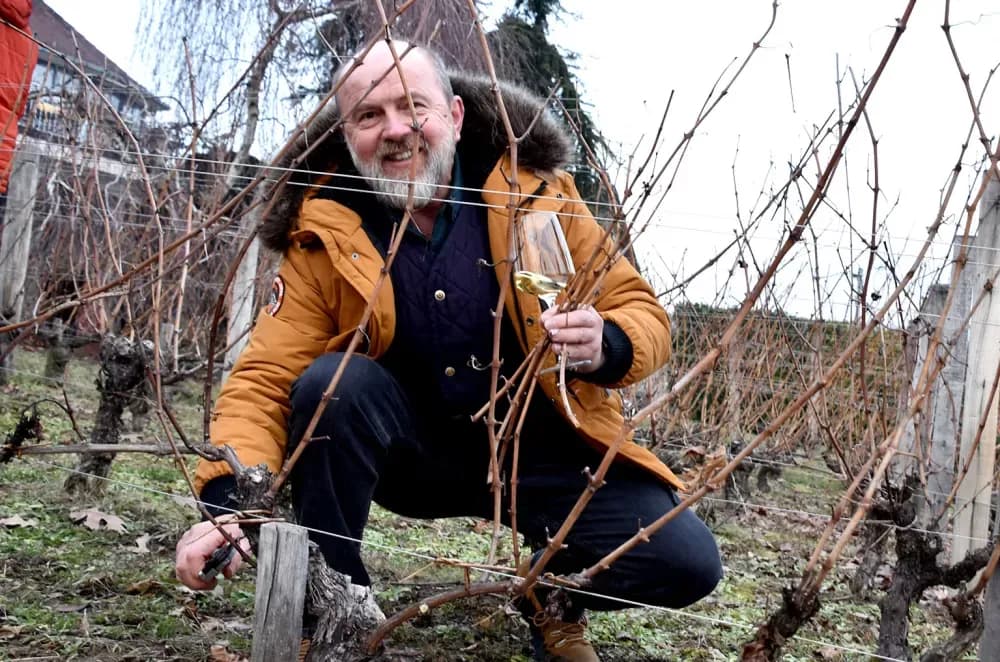 Obitelj Krauthaker okupila stotine uzvanika na početku vinogradarske godine