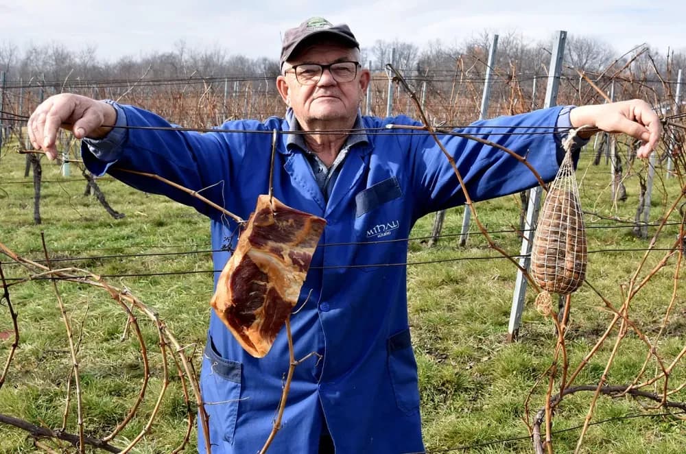 Nastavljena vinogradarska tradicija obitelji Mihalj na Vincelovo