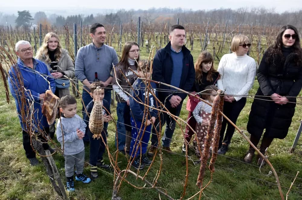 Nastavljena vinogradarska tradicija obitelji Mihalj na Vincelovo