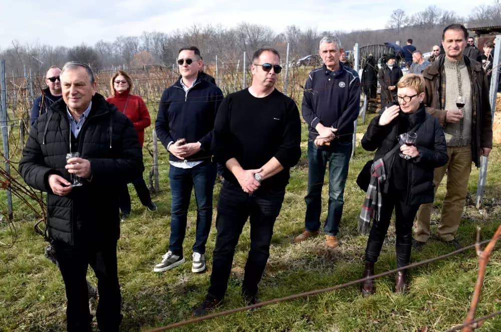 Nastavljena vinogradarska tradicija obitelji Mihalj na Vincelovo