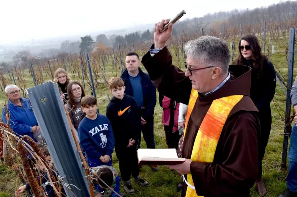 Nastavljena vinogradarska tradicija obitelji Mihalj na Vincelovo