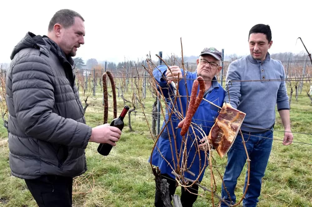 Nastavljena vinogradarska tradicija obitelji Mihalj na Vincelovo