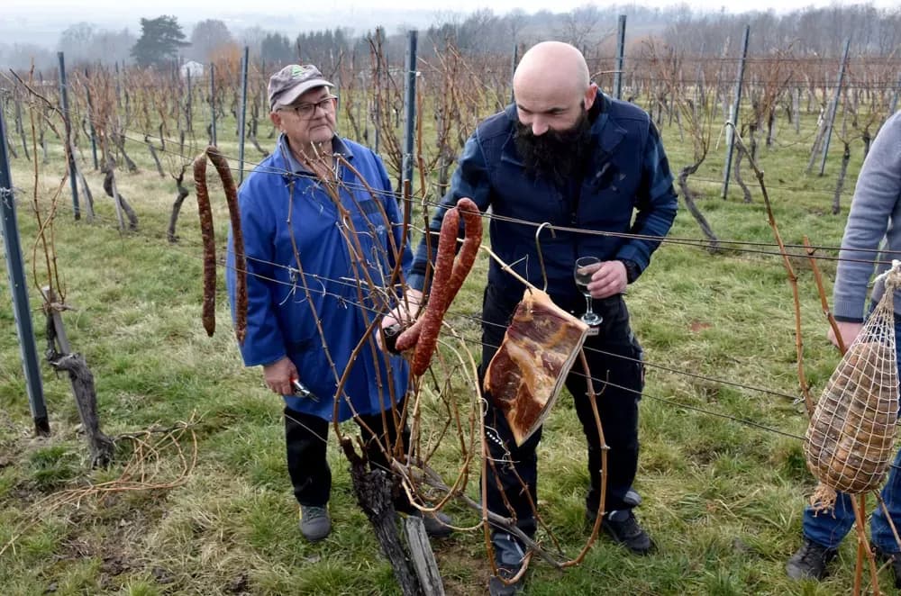 Nastavljena vinogradarska tradicija obitelji Mihalj na Vincelovo