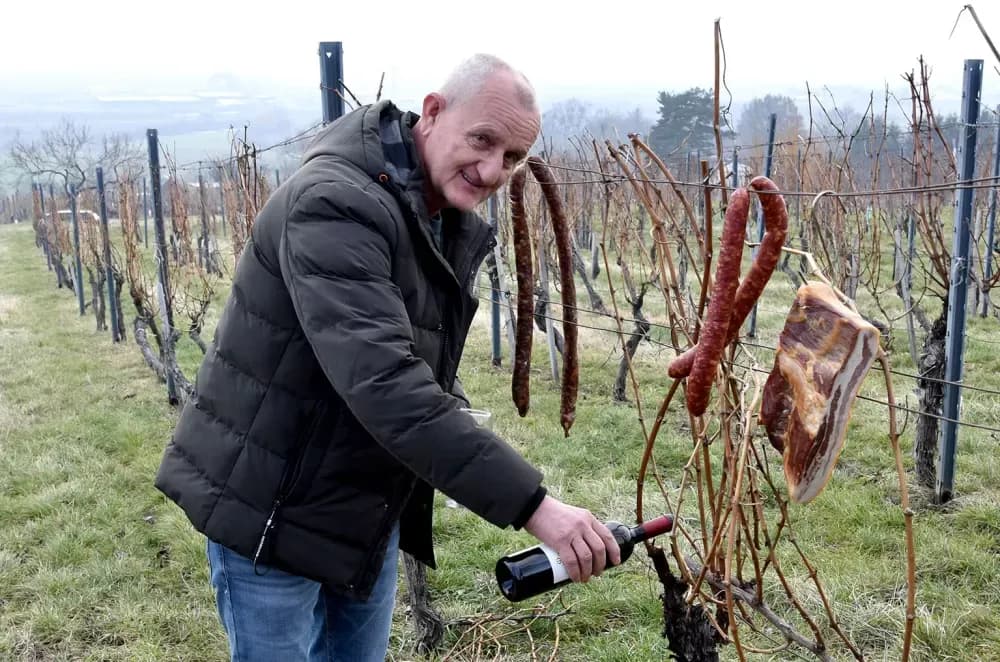 Nastavljena vinogradarska tradicija obitelji Mihalj na Vincelovo
