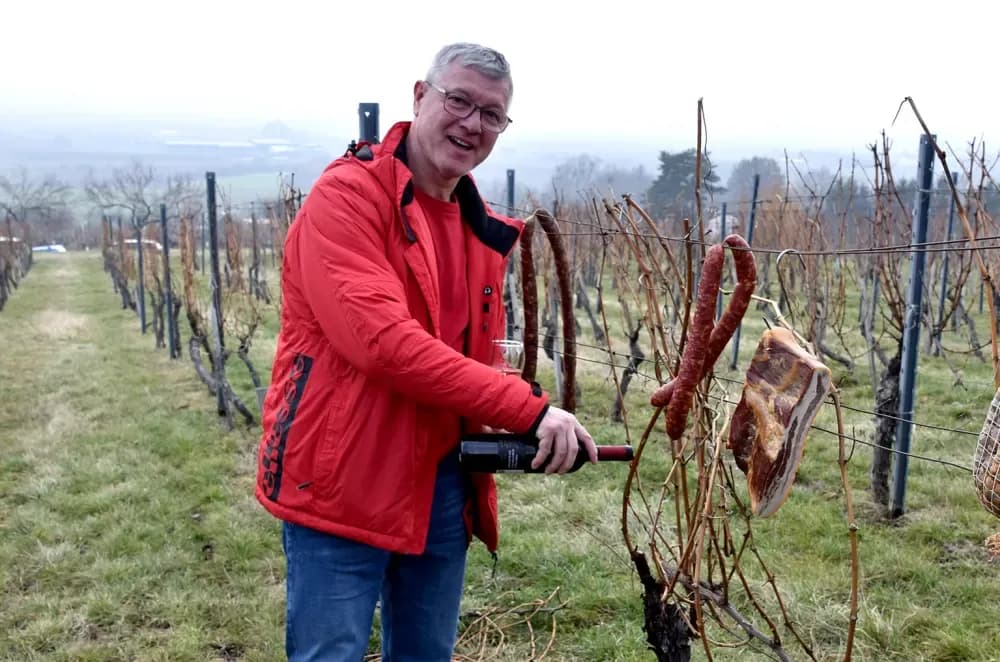 Nastavljena vinogradarska tradicija obitelji Mihalj na Vincelovo