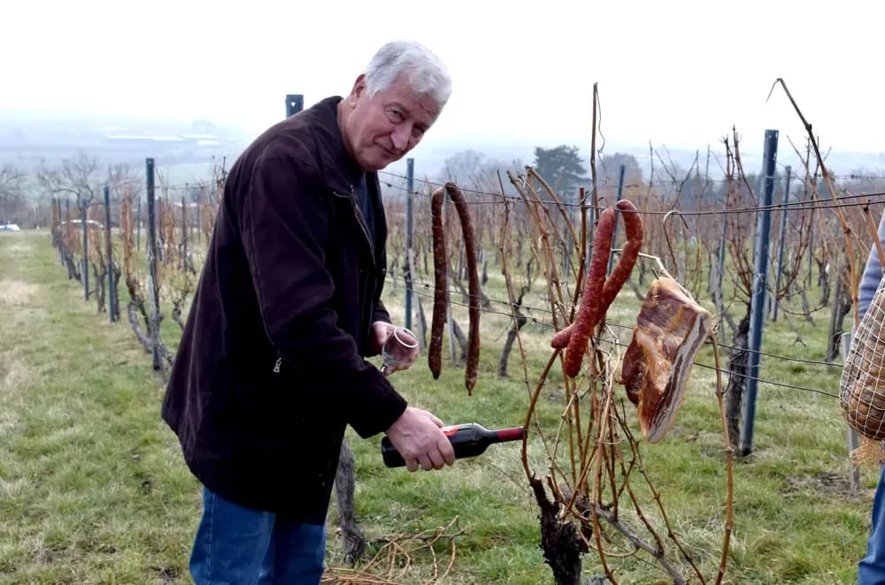 Nastavljena vinogradarska tradicija obitelji Mihalj na Vincelovo