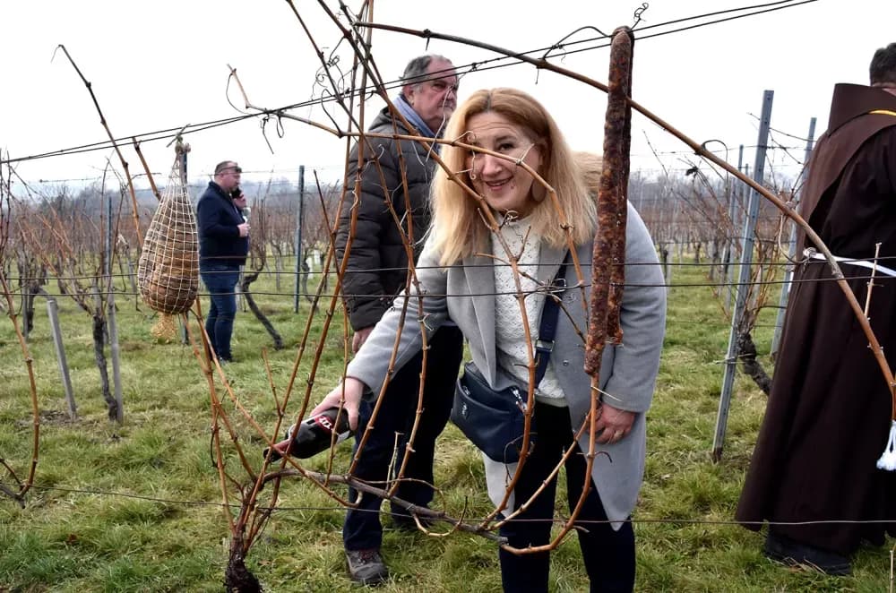 Nastavljena vinogradarska tradicija obitelji Mihalj na Vincelovo