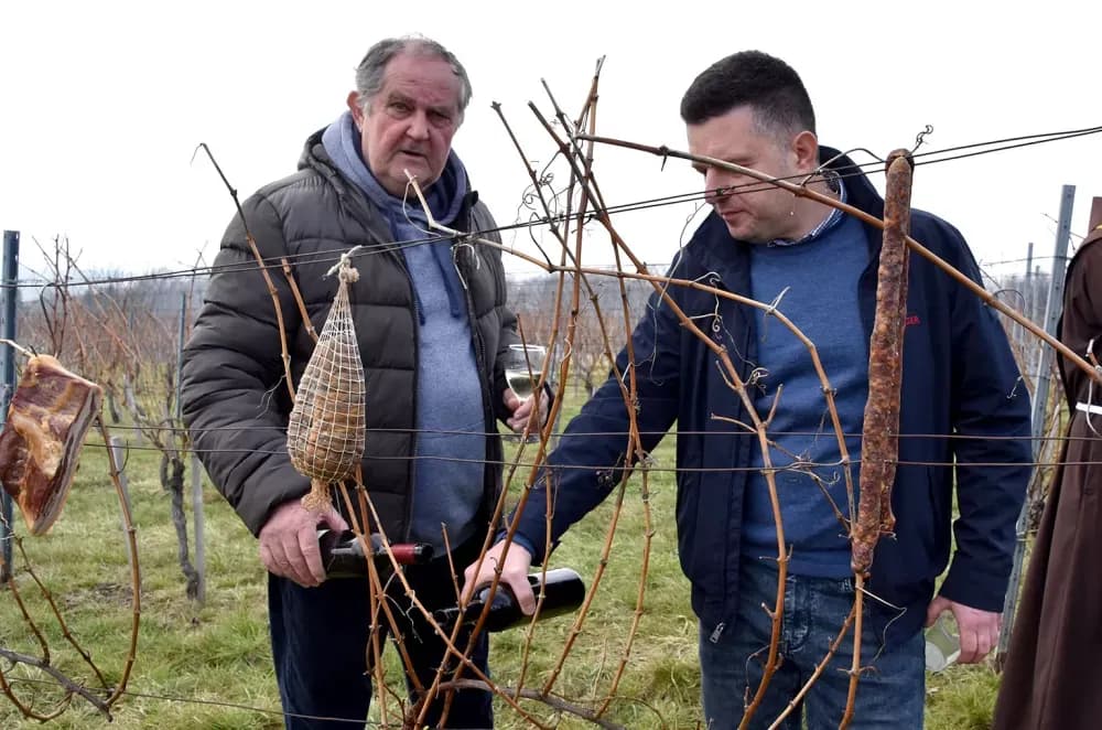 Nastavljena vinogradarska tradicija obitelji Mihalj na Vincelovo