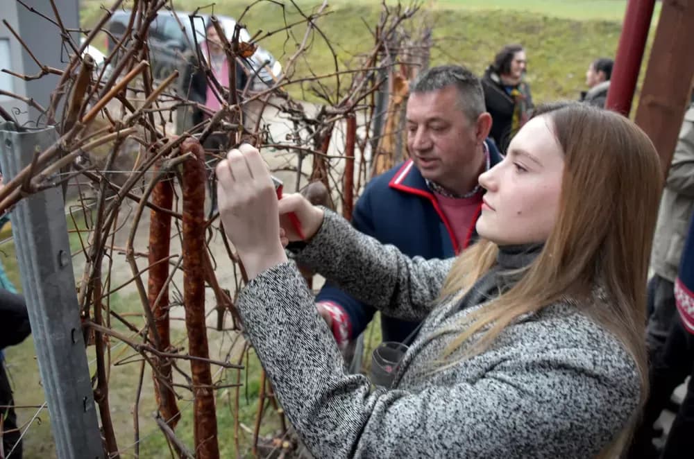Škoro i Matići zazvali rodnu godinu u Mitrovcu