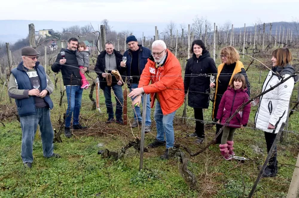 Od Požege do Zadra: Prijatelji se okupili kod Zorana Fumića na proslavi Vincelova