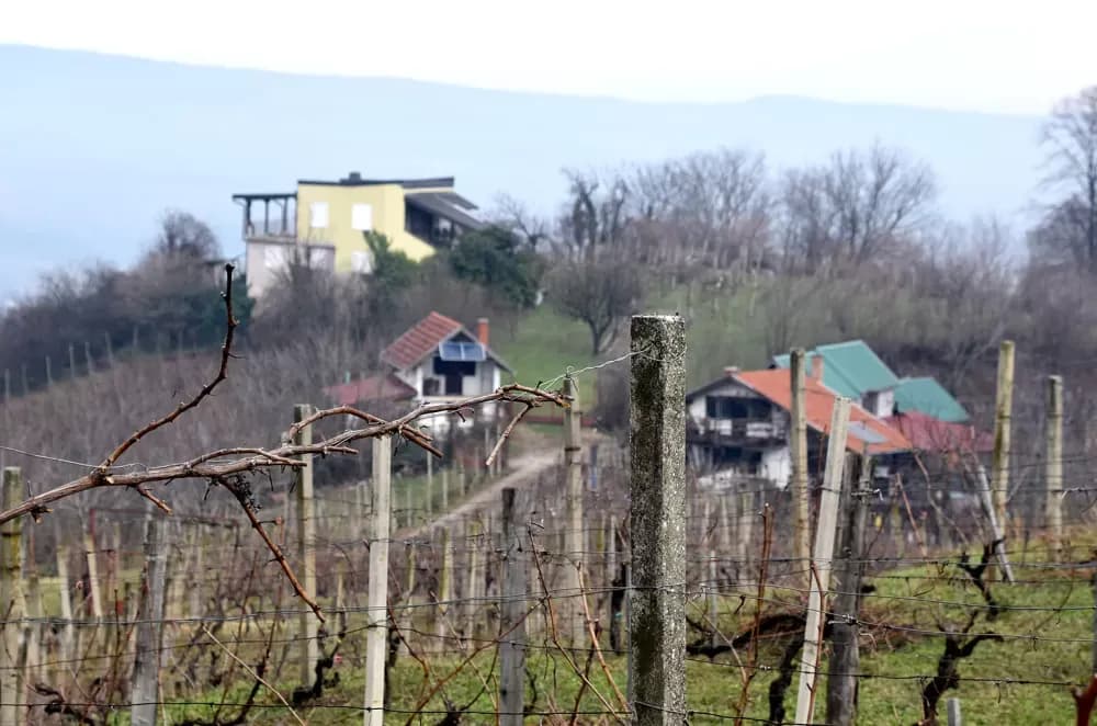 Od Požege do Zadra: Prijatelji se okupili kod Zorana Fumića na proslavi Vincelova