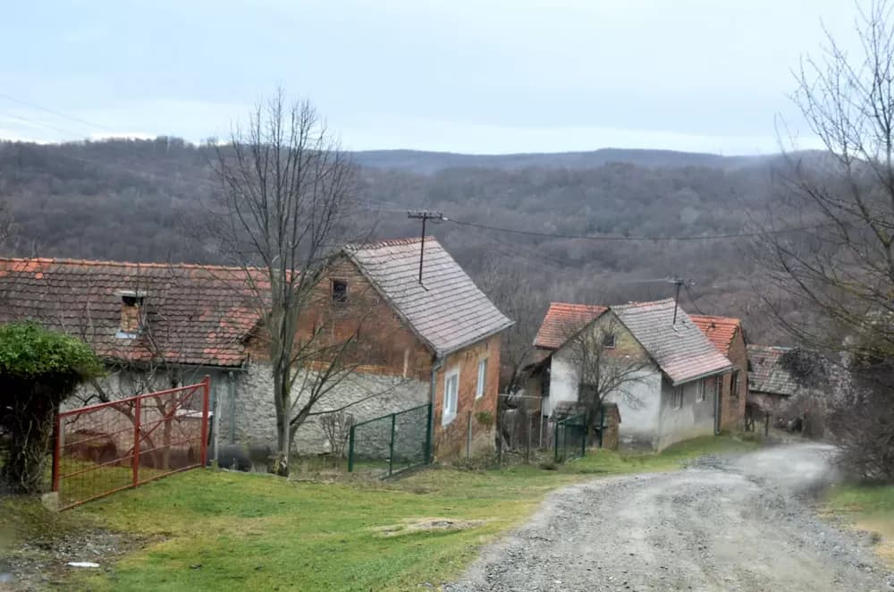 BORBA S BLATOM I ZABORAVOM: Škrabutnik, selo nadomak Požege u osam desetljeća izgubilo stotinu stanovnika