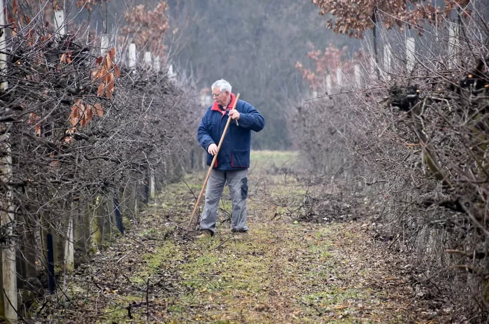 Od poticaja za samozapošljavanje do uspješnog voćara: Branko Uzelac već 20 godina uzgaja vrhunske jabuke