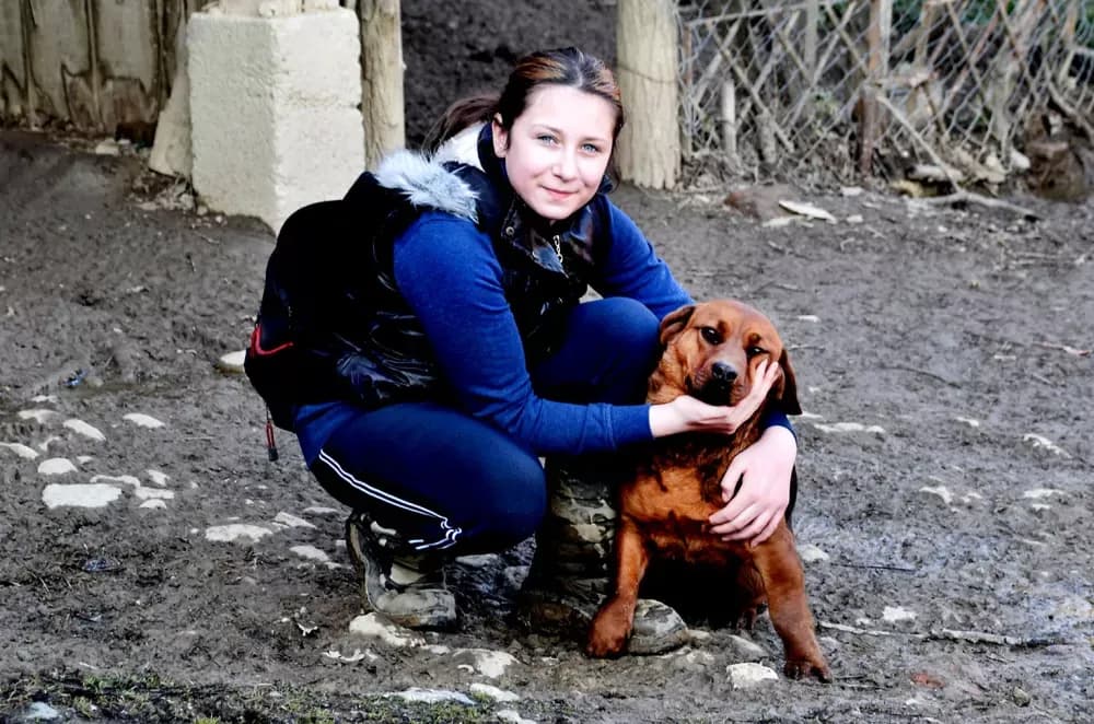 Škrabutnik - Danijelin zimski raj: Gdje prijateljstva imaju četiri šape, a kukuruz čuva divljač