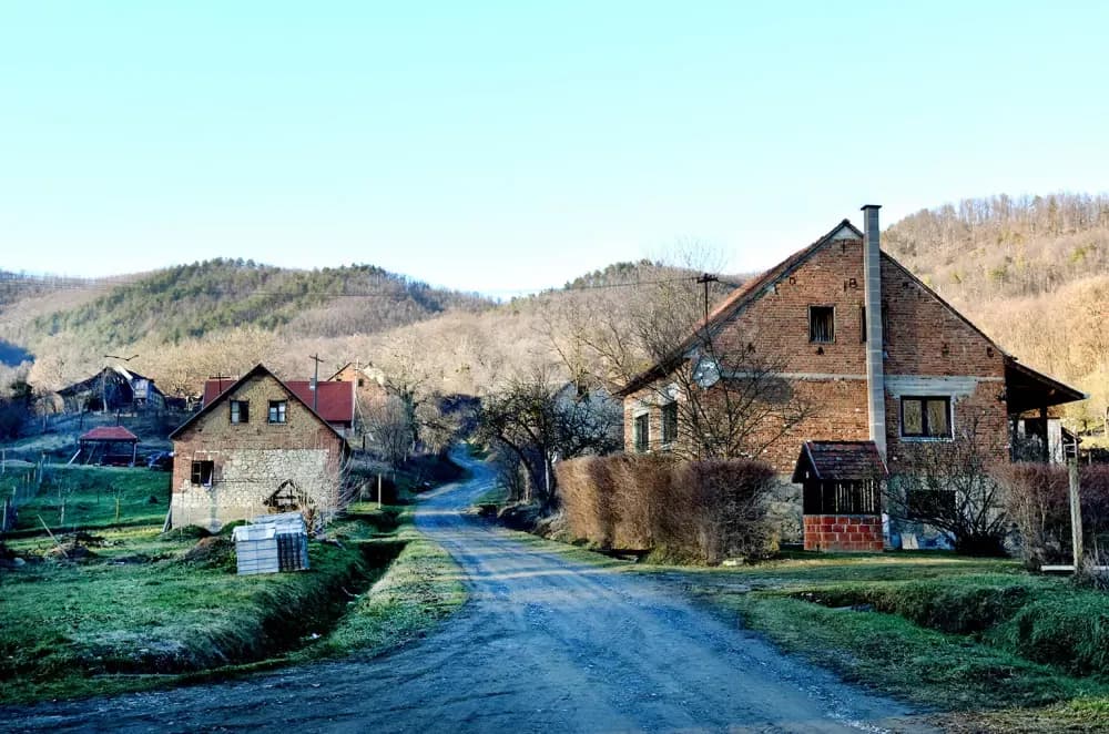 Škrabutnik - Danijelin zimski raj: Gdje prijateljstva imaju četiri šape, a kukuruz čuva divljač