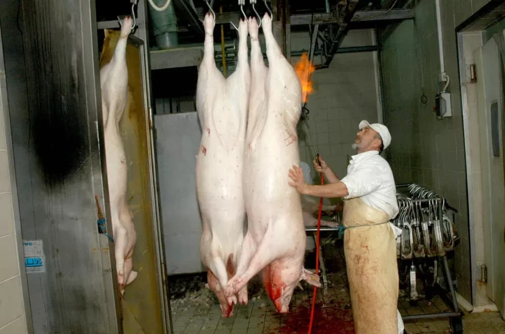 KRAJ JEDNE ERE: Bageri sravnili s zemljom ʼPapukʼ , sjećanje na ʼČiča Matuʼ i miris požeške tradicije