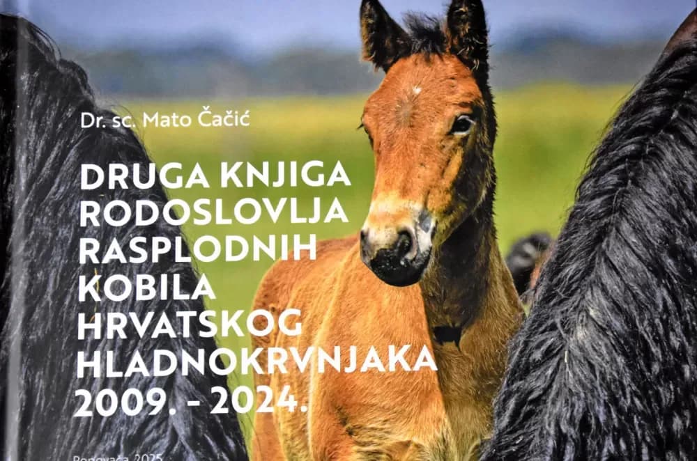 Konjogojci „Vallis Auree“ najavili „Zlatnu grivu Zlatne doline“ i modernizaciju poligona u Mihaljevcima