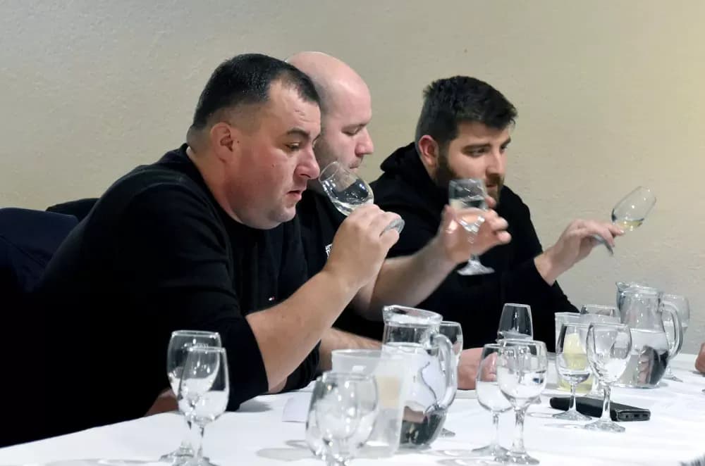 Graševine koje obećavaju na drugom ocjenjivanju