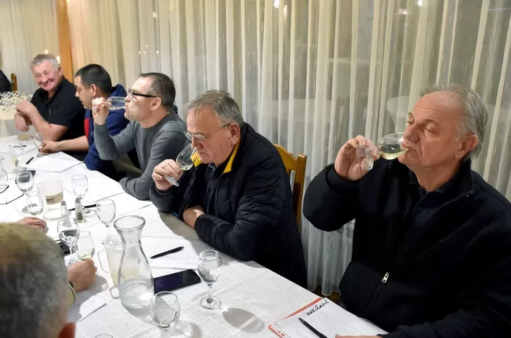 Graševine koje obećavaju na drugom ocjenjivanju