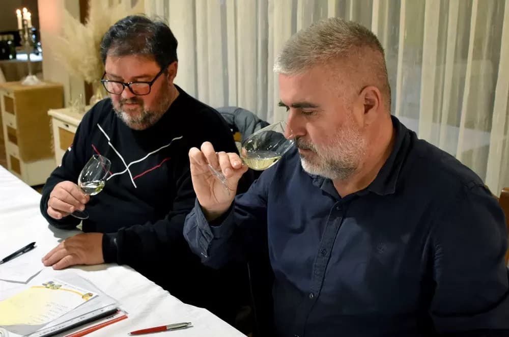 Graševine koje obećavaju na drugom ocjenjivanju