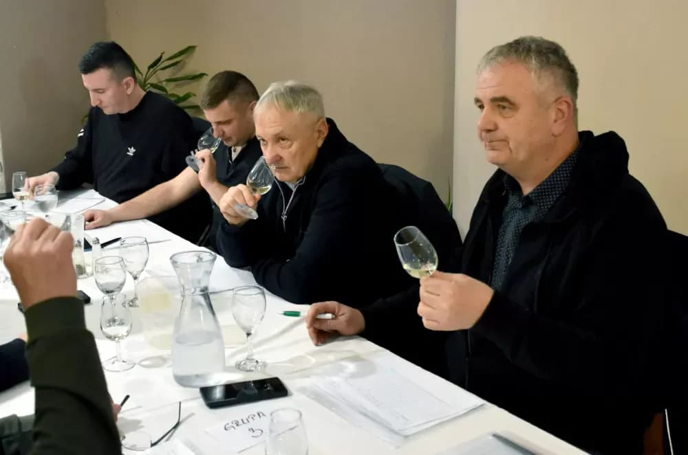 Graševine koje obećavaju na drugom ocjenjivanju