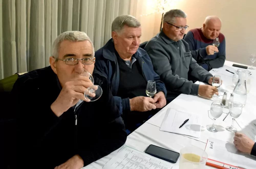 Graševine koje obećavaju na drugom ocjenjivanju