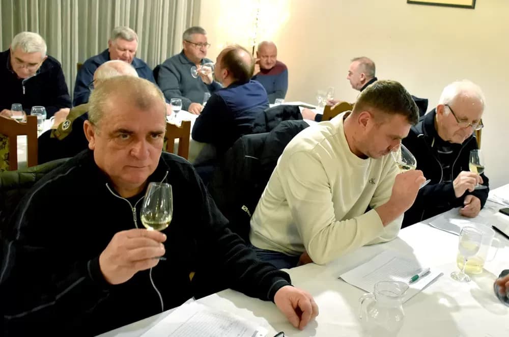 Graševine koje obećavaju na drugom ocjenjivanju