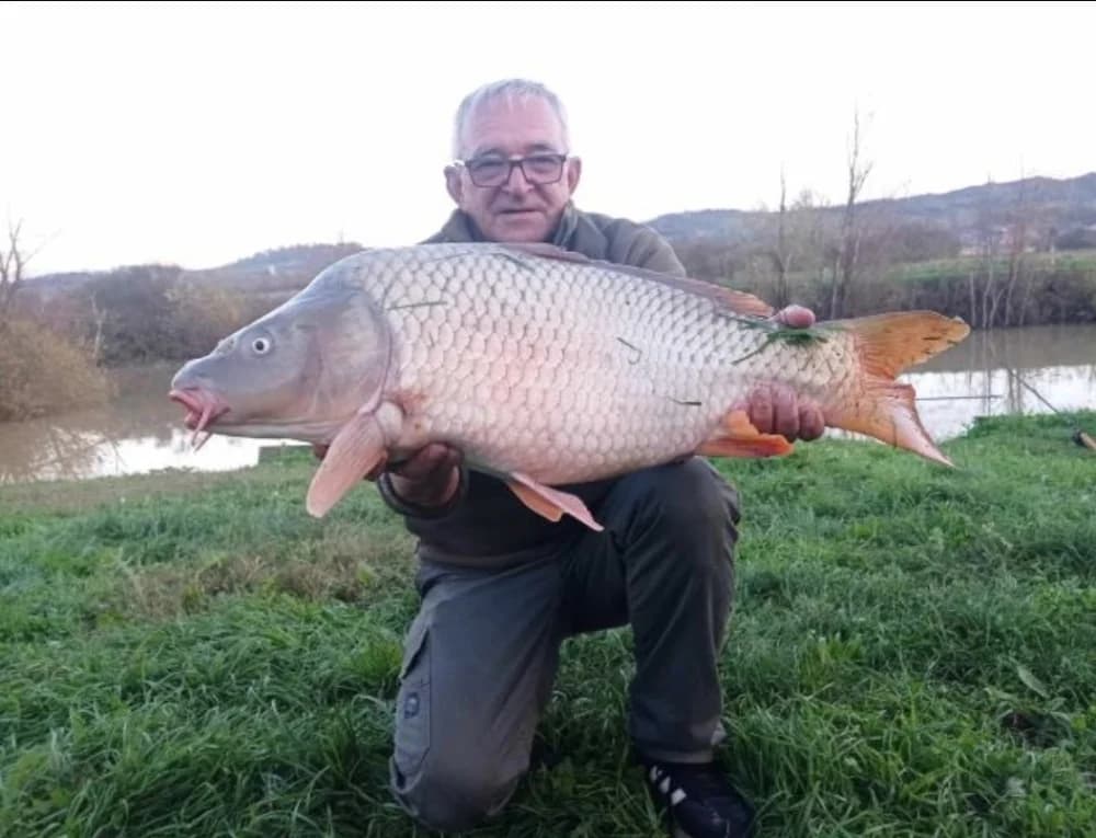 Pleternički umirovljenik Branko Šutić ulovio šarana teškog 8,10 kilograma