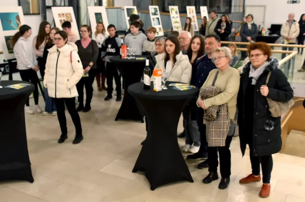 Izložba ilustracija “Svjetlost priča” na “Galeriji svjetlosti”: Dođi i pusti da te „svjetlo” vodi