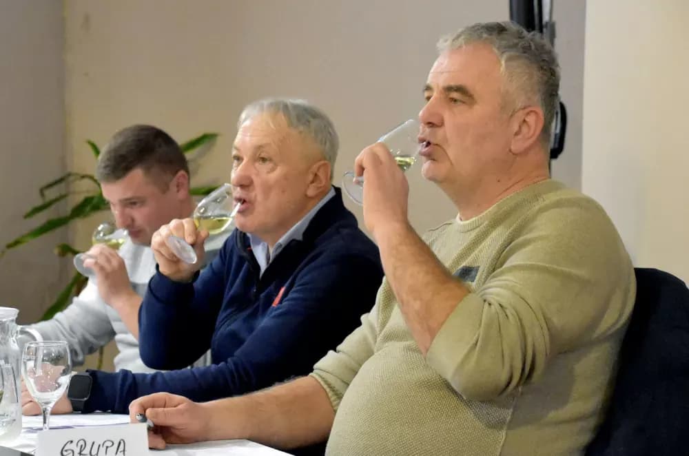 Vina udruge ʼVino-Kapʼ potvrdila visoku kvalitetu: Kaptolačke graševine spremne za zlato