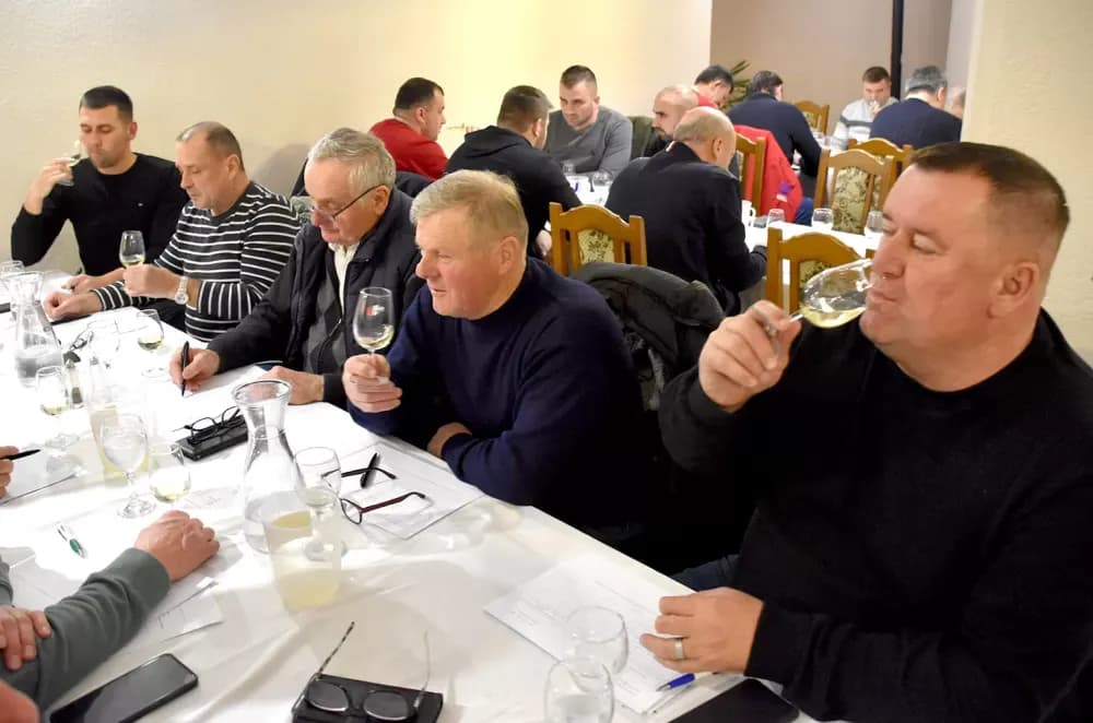 Vina udruge ʼVino-Kapʼ potvrdila visoku kvalitetu: Kaptolačke graševine spremne za zlato
