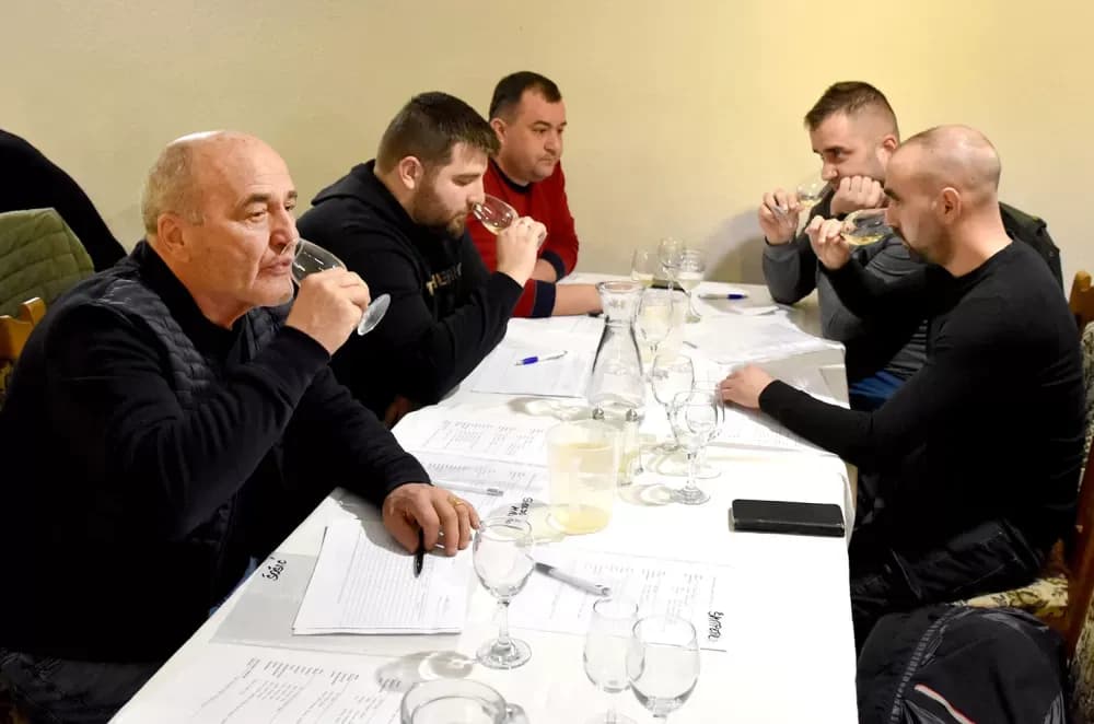 Vina udruge ʼVino-Kapʼ potvrdila visoku kvalitetu: Kaptolačke graševine spremne za zlato