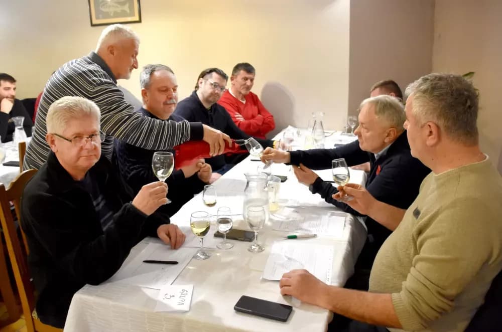 Vina udruge ʼVino-Kapʼ potvrdila visoku kvalitetu: Kaptolačke graševine spremne za zlato