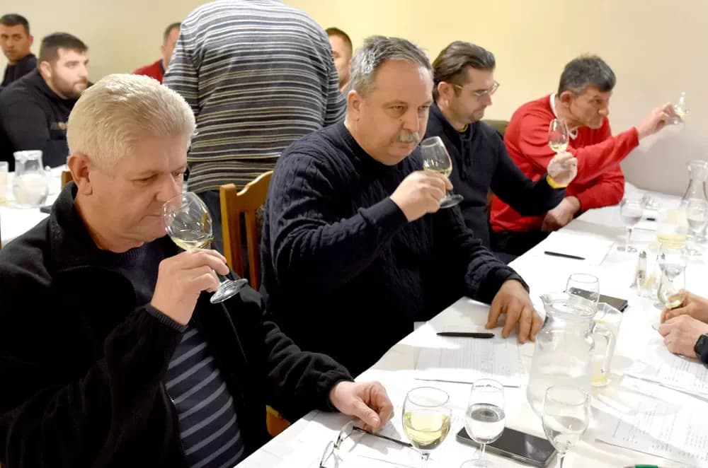 Vina udruge ʼVino-Kapʼ potvrdila visoku kvalitetu: Kaptolačke graševine spremne za zlato