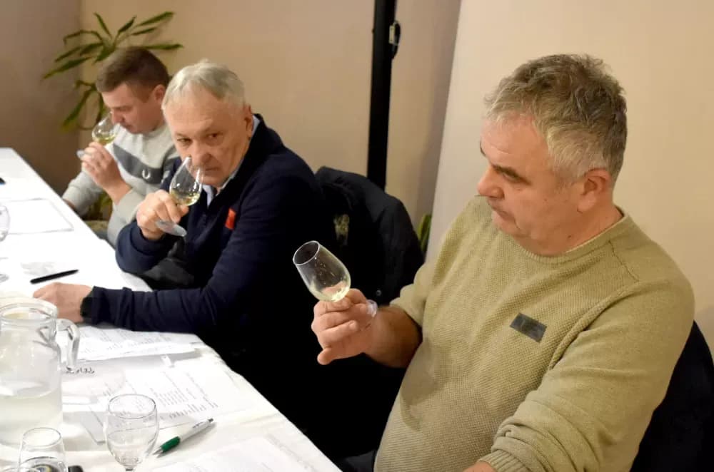 Vina udruge ʼVino-Kapʼ potvrdila visoku kvalitetu: Kaptolačke graševine spremne za zlato
