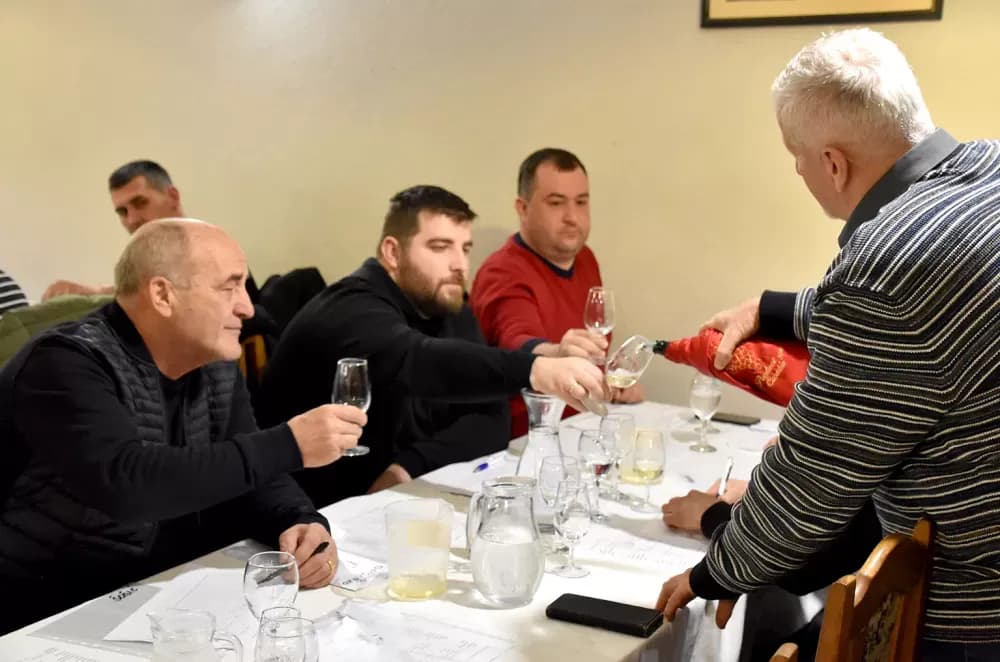 Vina udruge ʼVino-Kapʼ potvrdila visoku kvalitetu: Kaptolačke graševine spremne za zlato