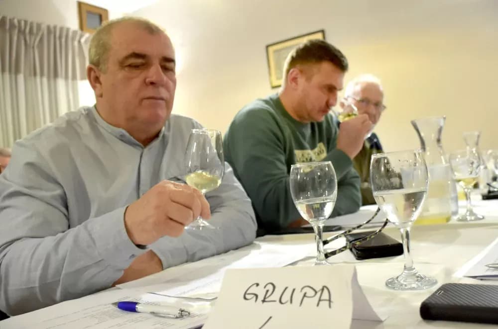 Vina udruge ʼVino-Kapʼ potvrdila visoku kvalitetu: Kaptolačke graševine spremne za zlato