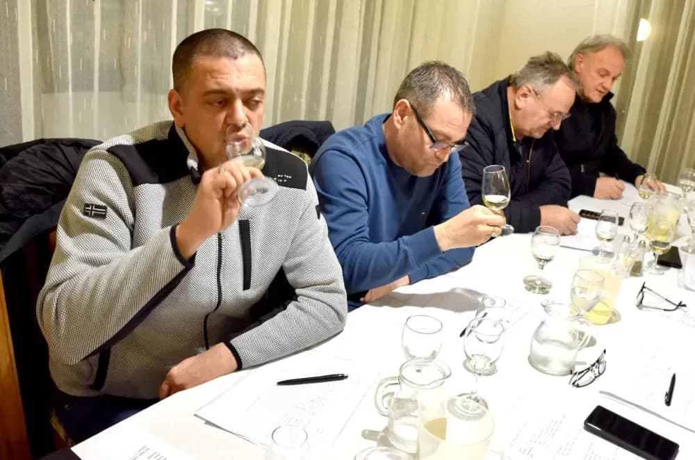 Vina udruge ʼVino-Kapʼ potvrdila visoku kvalitetu: Kaptolačke graševine spremne za zlato