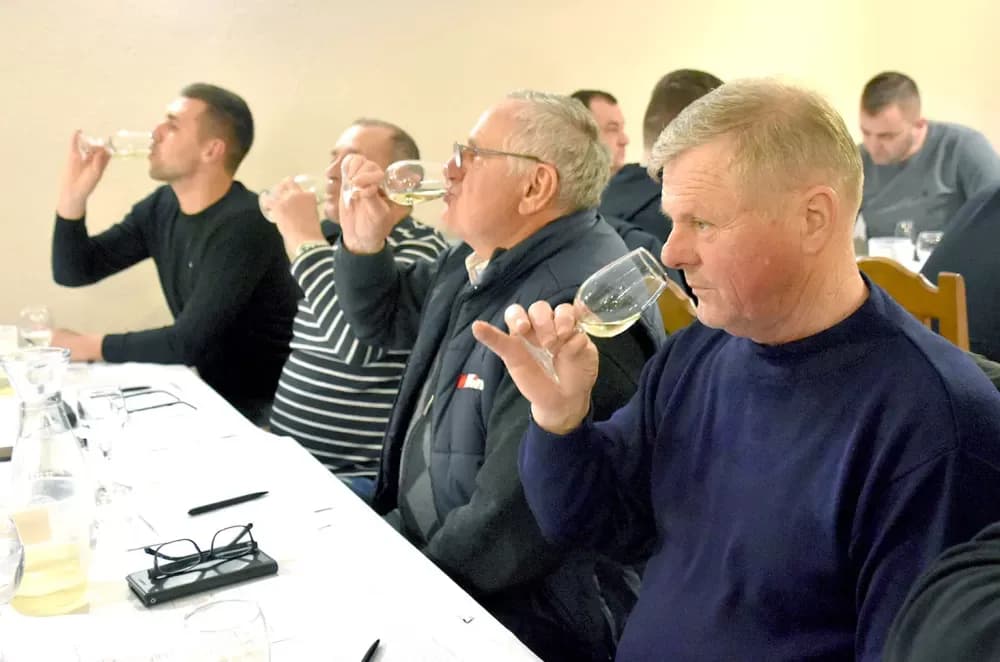 Vina udruge ʼVino-Kapʼ potvrdila visoku kvalitetu: Kaptolačke graševine spremne za zlato