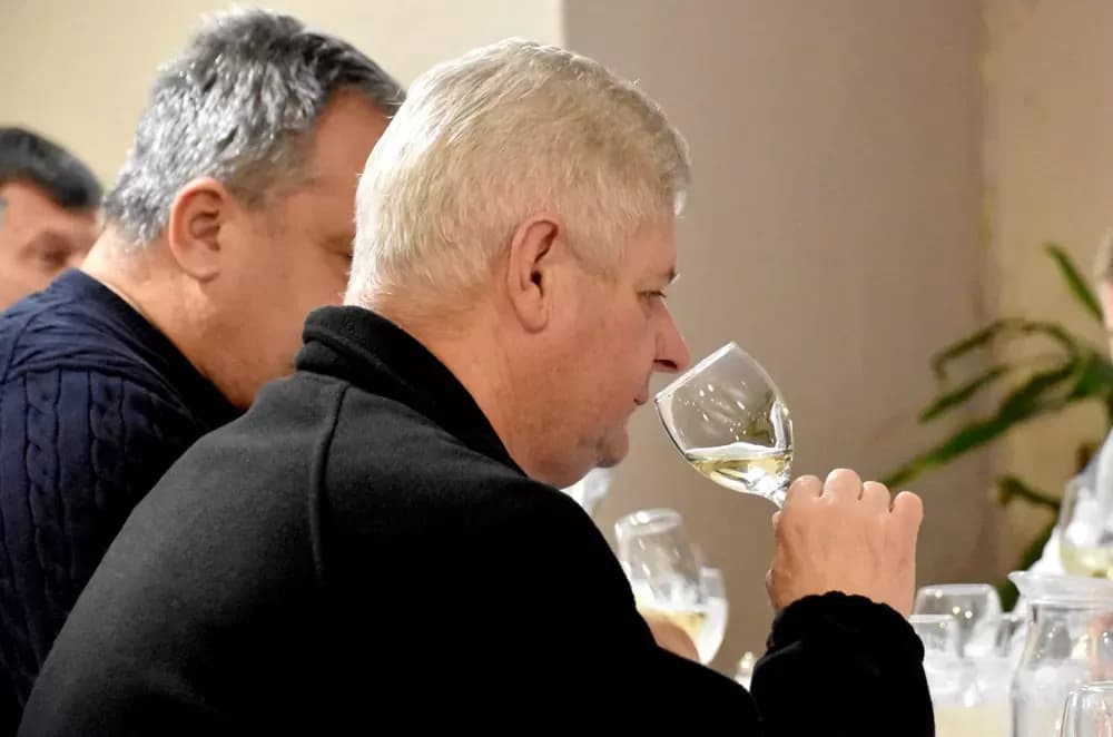Vina udruge ʼVino-Kapʼ potvrdila visoku kvalitetu: Kaptolačke graševine spremne za zlato