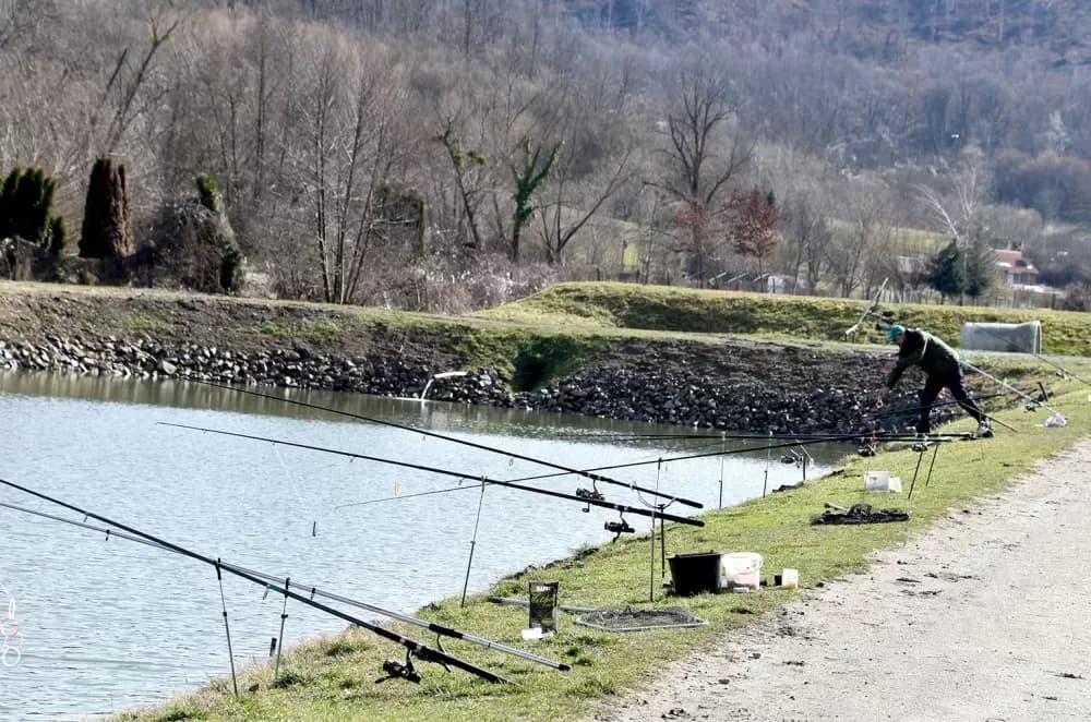 ŽIVAHNO NA RIBNJAKU U STAROM BRESTOVCU: Proljetno buđenje uz udice i pripreme za jubilarnu Fišijadu