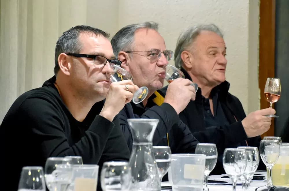 Vinska večer u Lukaču: Kaptolačka „Vino-Kap“ nastavlja podizati ljestvicu kvalitete