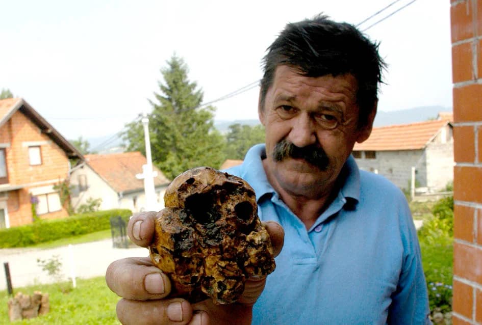 TARTUFI RASTU I NA OBRONCIMA POŽEŠKIH GORA: Mit postao zbilja